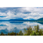 Шведские обои Rebel Walls, коллекция No 13 Scandinavia, артикул R16321