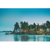 Шведские обои Rebel Walls, коллекция No 13 Scandinavia, артикул R16331