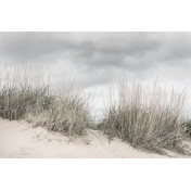 Шведские обои Rebel Walls, коллекция No 13 Scandinavia, артикул R16341