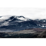 Шведские обои Rebel Walls, коллекция No 13 Scandinavia, артикул R16371