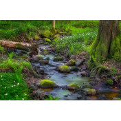 Шведские обои Rebel Walls, коллекция No 13 Scandinavia, артикул R16381