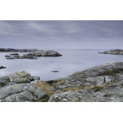 Шведские обои Rebel Walls, коллекция No 13 Scandinavia, артикул R16401