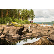 Шведские обои Rebel Walls, коллекция No 13 Scandinavia, артикул R16431