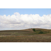 Шведские обои Rebel Walls, коллекция No 13 Scandinavia, артикул R16481