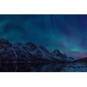 Шведские обои Rebel Walls, коллекция No 13 Scandinavia, артикул R16491