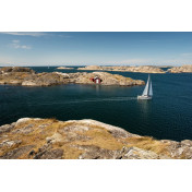 Шведские обои Rebel Walls, коллекция No 13 Scandinavia, артикул R16501