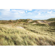 Шведские обои Rebel Walls, коллекция No 13 Scandinavia, артикул R16511