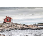 Шведские обои Rebel Walls, коллекция No 13 Scandinavia, артикул R16521