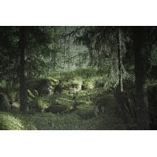 Шведские обои Rebel Walls, коллекция No 13 Scandinavia, артикул R16531