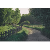 Шведские обои Rebel Walls, коллекция No 13 Scandinavia, артикул R16541