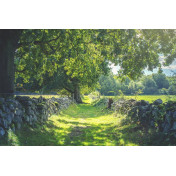 Шведские обои Rebel Walls, коллекция No 13 Scandinavia, артикул R16651