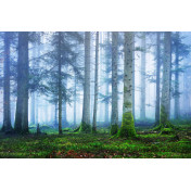 Шведские обои Rebel Walls, коллекция No 13 Scandinavia, артикул R16661