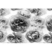 Панно Rebel Walls, коллекция No 3 Greenhouse, артикул R13092