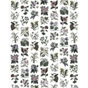 Панно Rebel Walls, коллекция No 3 Greenhouse, артикул R13172