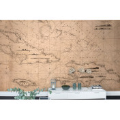 Панно Rebel Walls, коллекция No 5 Maps, артикул R13791