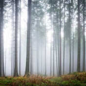 Панно Rebel Walls, коллекция No 9 Home, артикул R15201