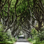 Панно Rebel Walls, коллекция No 9 Home, артикул R15251