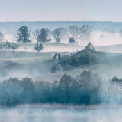 Панно Rebel Walls, коллекция No 9 Home, артикул R15291