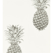 Английские обои Sanderson, коллекция Art of the Garden, артикул 216324