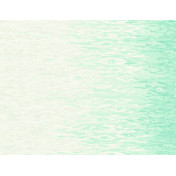 Американские обои Seabrook, коллекция Garden Rose, артикул RG60202