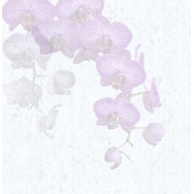 Панно Tecnografica, коллекция Collection 2018, артикул 61206-1