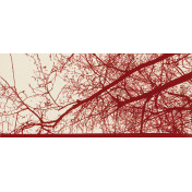 Итальянские обои Tecnografica, коллекция Collection 2019, артикул 56096-1/A