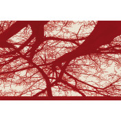 Итальянские обои Tecnografica, коллекция Collection 2019, артикул 56096-1/B