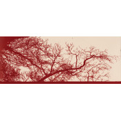 Итальянские обои Tecnografica, коллекция Collection 2019, артикул 56096-1/C