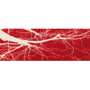 Итальянские обои Tecnografica, коллекция Collection 2019, артикул 56096-2/A