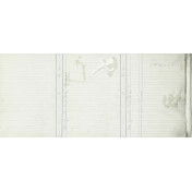 Итальянские обои Tecnografica, коллекция Collection 2019, артикул 56571-1/B