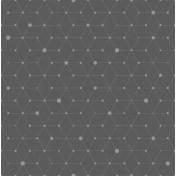 Итальянские обои Tecnografica, коллекция Collection 2019, артикул 56702-2/A