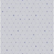 Итальянские обои Tecnografica, коллекция Collection 2019, артикул 56702-5/A