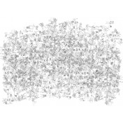 Итальянские обои Tecnografica, коллекция Collection 2019, артикул 57063-1