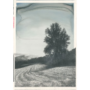 Итальянские обои Tecnografica, коллекция Collection 2019, артикул 58092-1