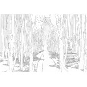 Итальянские обои Tecnografica, коллекция Collection 2019, артикул 62862-1/B