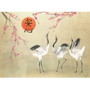 Итальянские обои Tecnografica, коллекция Collection 2019, артикул 70031-2