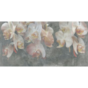 Итальянские обои Tecnografica, коллекция Collection 2019, артикул 70499-2