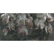 Итальянские обои Tecnografica, коллекция Collection 2019, артикул 70499-3