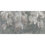 Итальянские обои Tecnografica, коллекция Collection 2019, артикул 70499-4