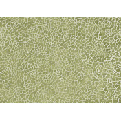 Итальянские обои Tecnografica, коллекция Collection 2019, артикул 72912-1/A