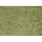 Итальянские обои Tecnografica, коллекция Collection 2019, артикул 72912-1/B