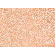 Итальянские обои Tecnografica, коллекция Collection 2019, артикул 72912-2/A