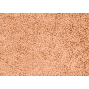 Итальянские обои Tecnografica, коллекция Collection 2019, артикул 72912-2/B