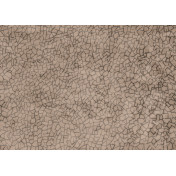 Итальянские обои Tecnografica, коллекция Collection 2019, артикул 72912-3/B