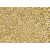 Итальянские обои Tecnografica, коллекция Collection 2019, артикул 72912-4/A