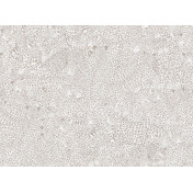 Итальянские обои Tecnografica, коллекция Collection 2019, артикул 74715-2