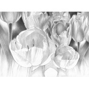 Итальянские обои Tecnografica, коллекция Collection 2021, артикул 69993