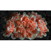 Итальянские обои Tecnografica, коллекция Collection 2021, артикул 70253