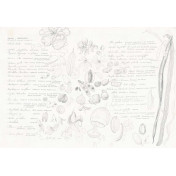 Панно Tecnografica, коллекция Collection 2021, артикул 78690-1