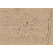 Панно Tecnografica, коллекция Collection 2021, артикул 78690-3